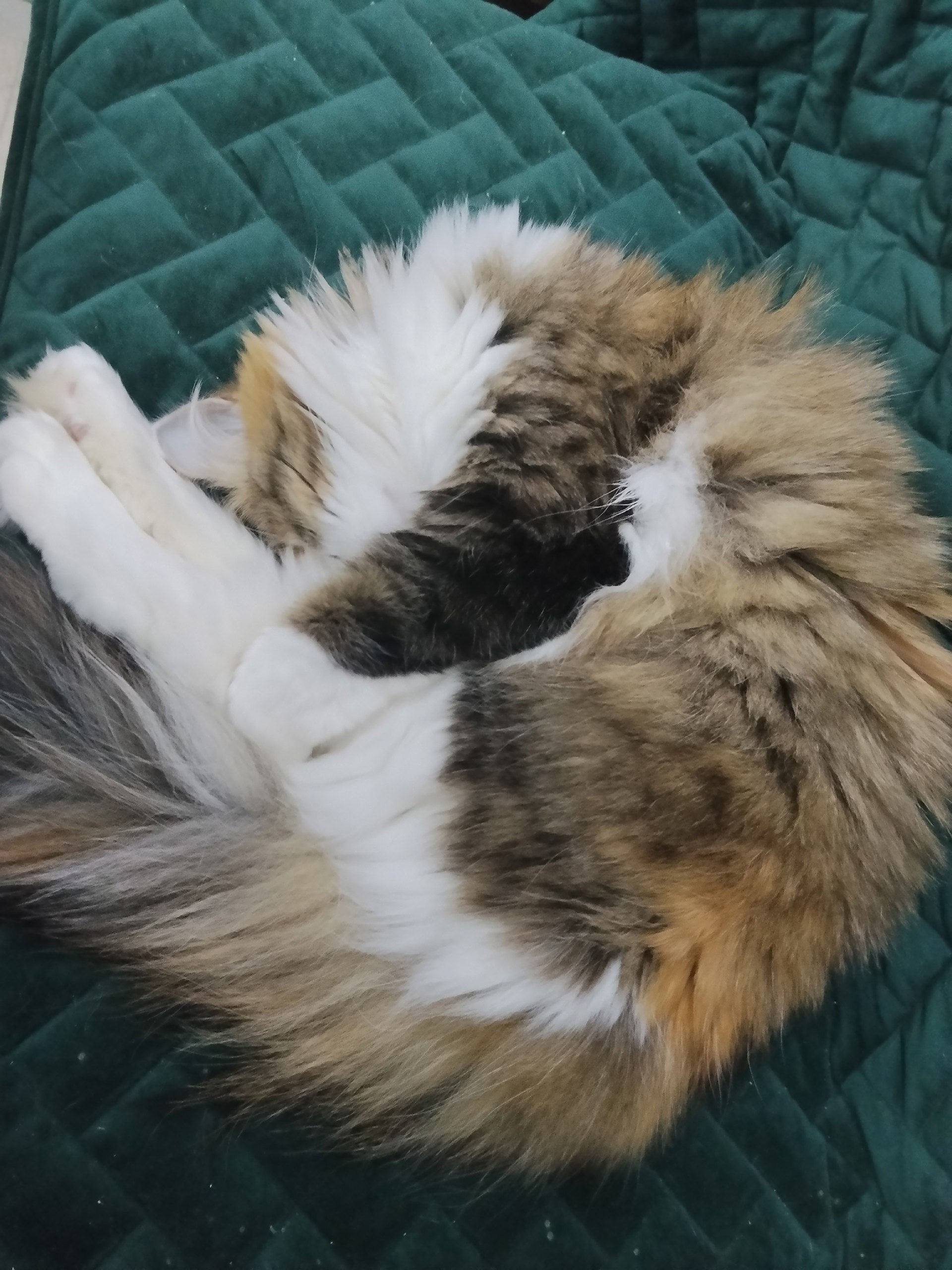 Доброе воскресное, друзья! А знаете, какой сегодня день? Доброе воскресное, друзья! А знаете, какой сегодня день?