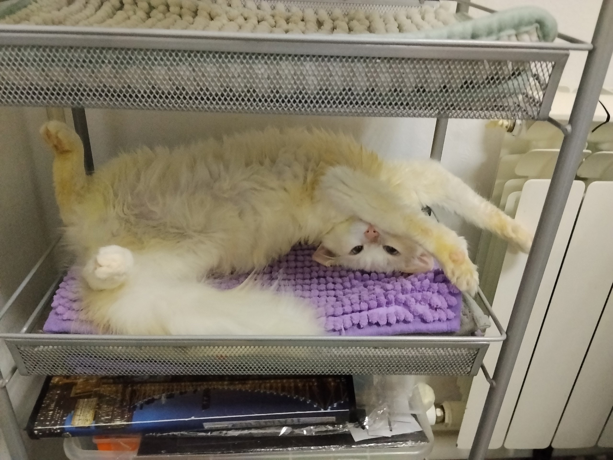 Доброе воскресное, друзья! А знаете, какой сегодня день? Доброе воскресное, друзья! А знаете, какой сегодня день?