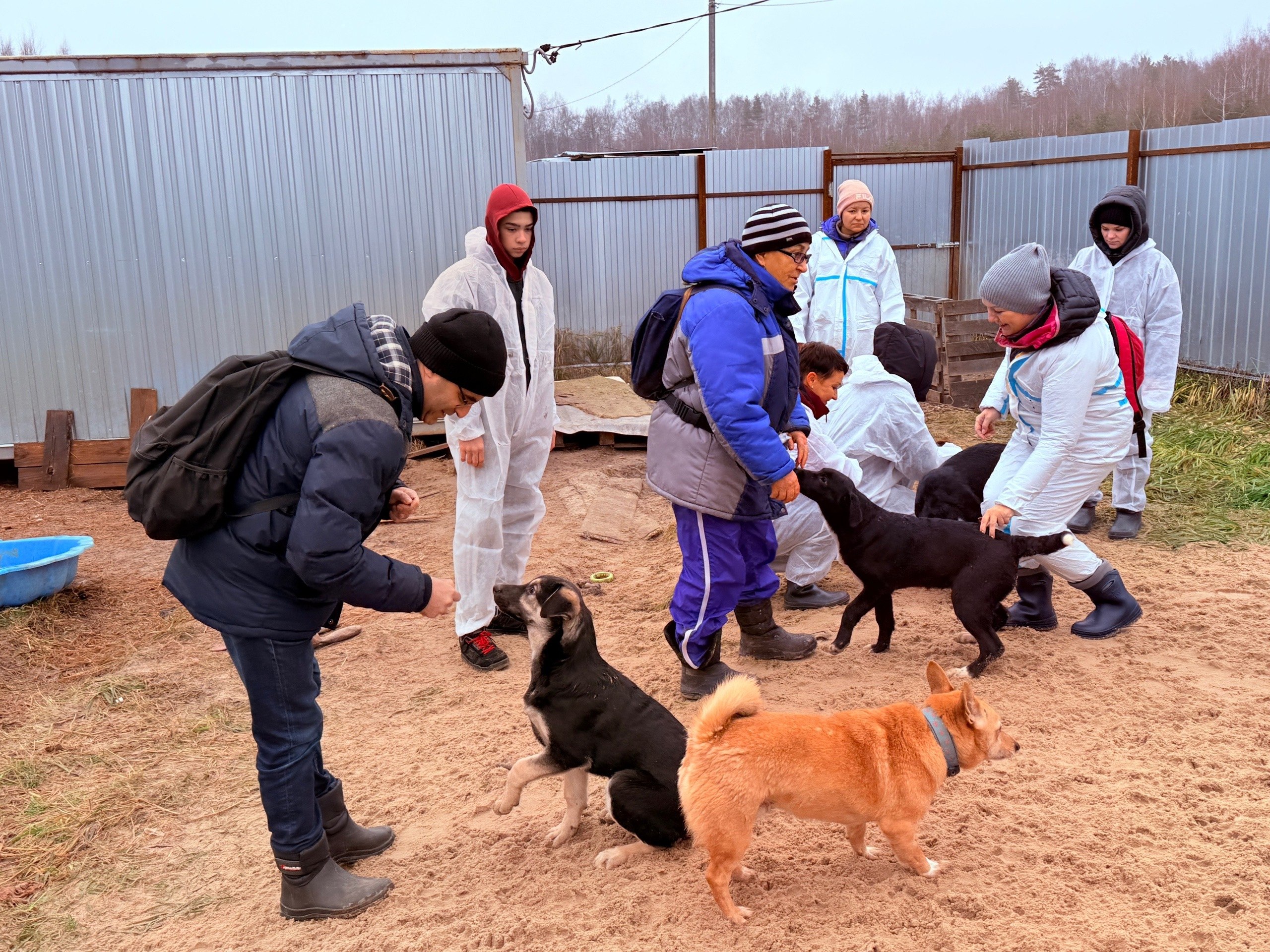 Доброе утро. Сегодня - День футбола и День прав животных Доброе утро. Сегодня - День футбола и День прав животных