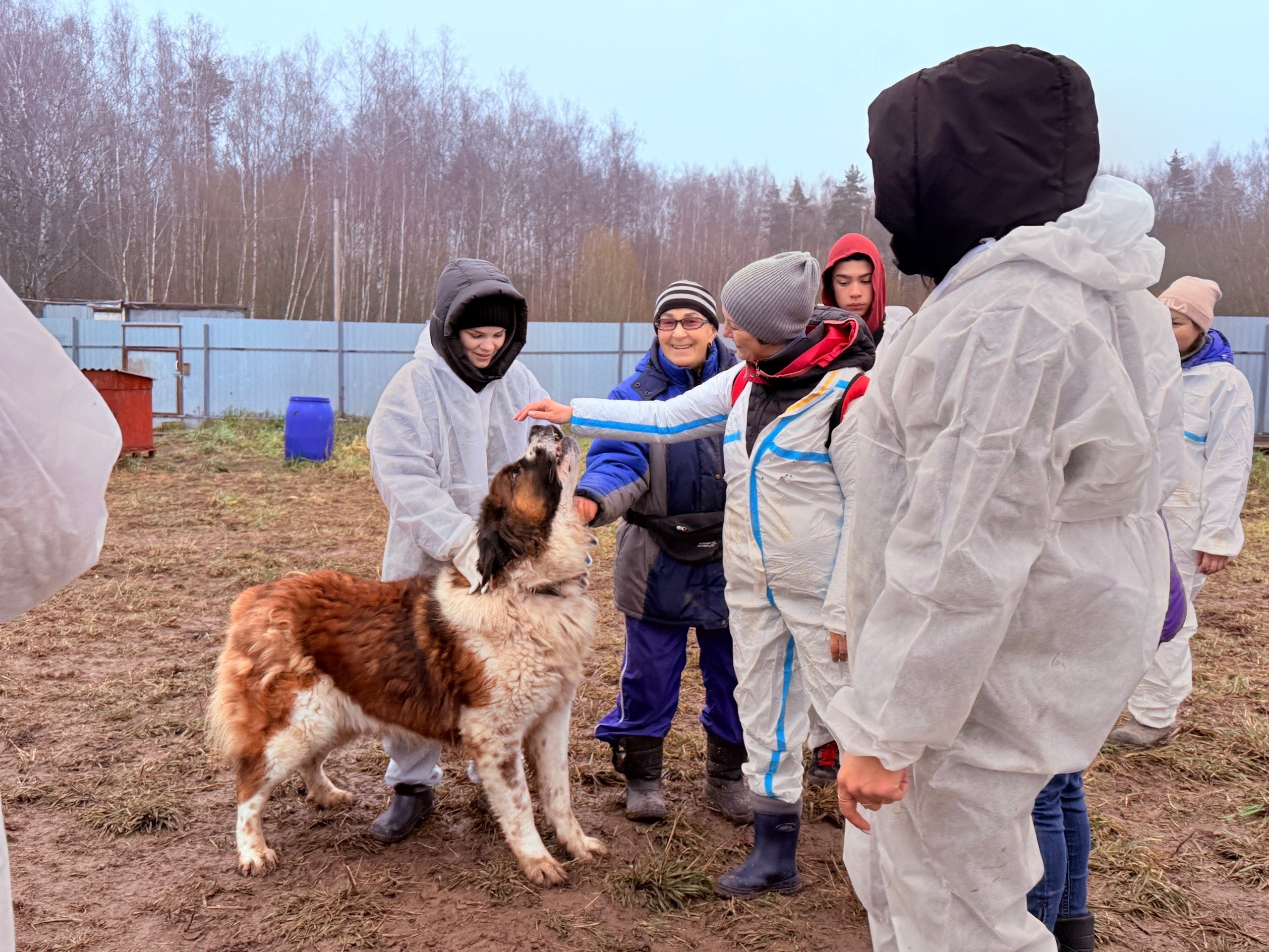 Доброе утро. Сегодня - День футбола и День прав животных Доброе утро. Сегодня - День футбола и День прав животных