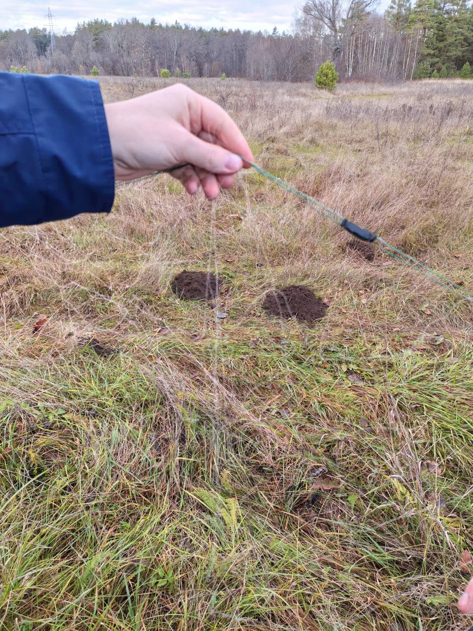 ™™™™™™™™. ™На основании материалов проверки Владимирской природоохранной прокуратуры возбуждено уголовное дело по факту незаконного лова рыбы в заказнике Владимирской природоохранной прокуратурой совместные с ГБУ ВО... ™™™™™™™™. ™На основании материалов проверки Владимирской природоохранной прокуратуры возбуждено уголовное дело по факту незаконного лова рыбы в заказнике Владимирской природоохранной прокуратурой совместные с ГБУ ВО...