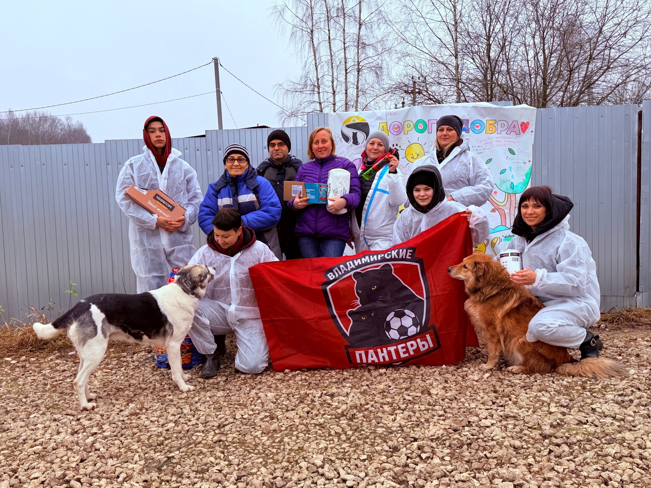 Доброе утро. Сегодня - День футбола и День прав животных Доброе утро. Сегодня - День футбола и День прав животных