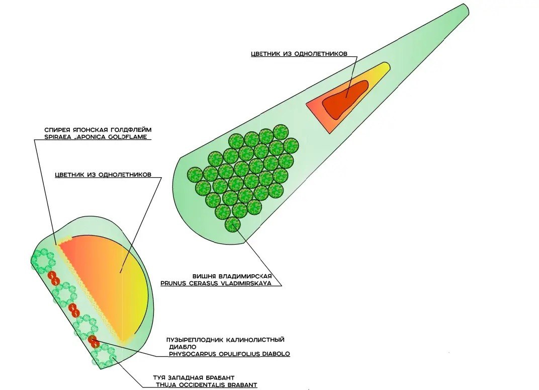 На въезде во Владимир со стороны Нижнего Новгорода высадят вишню На въезде во Владимир со стороны Нижнего Новгорода высадят вишню