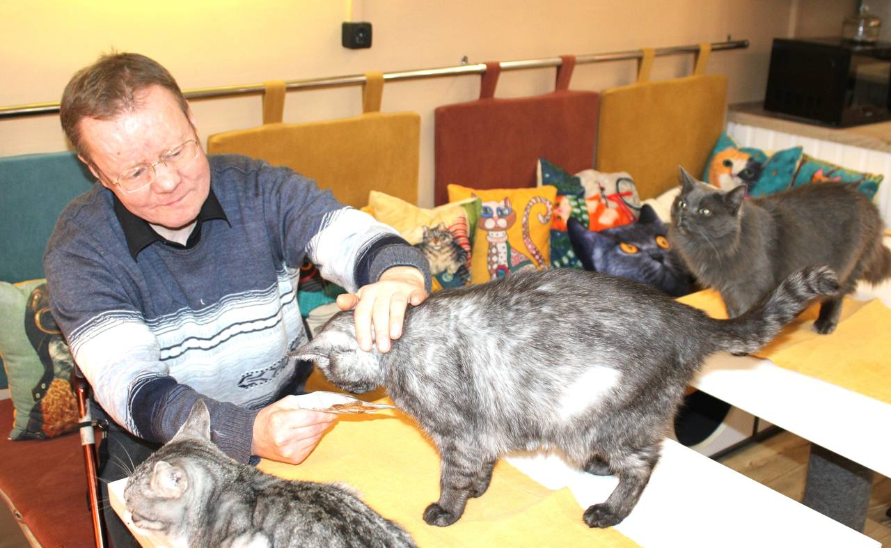 Золотые сердца наших серебряных волонтёров Золотые сердца наших серебряных волонтёров