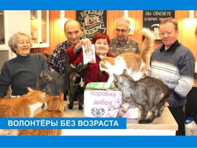 Золотые сердца наших серебряных волонтёров