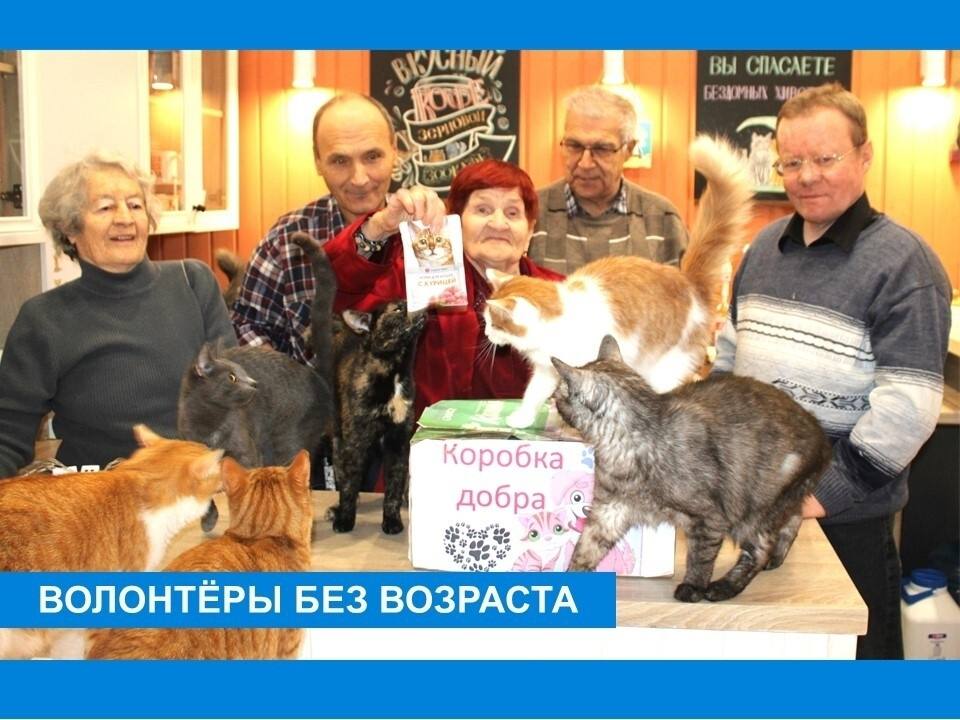 Золотые сердца наших серебряных волонтёров