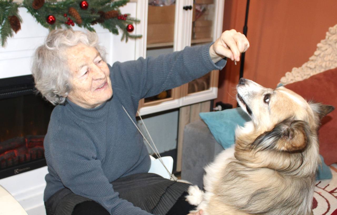 Золотые сердца наших серебряных волонтёров Золотые сердца наших серебряных волонтёров
