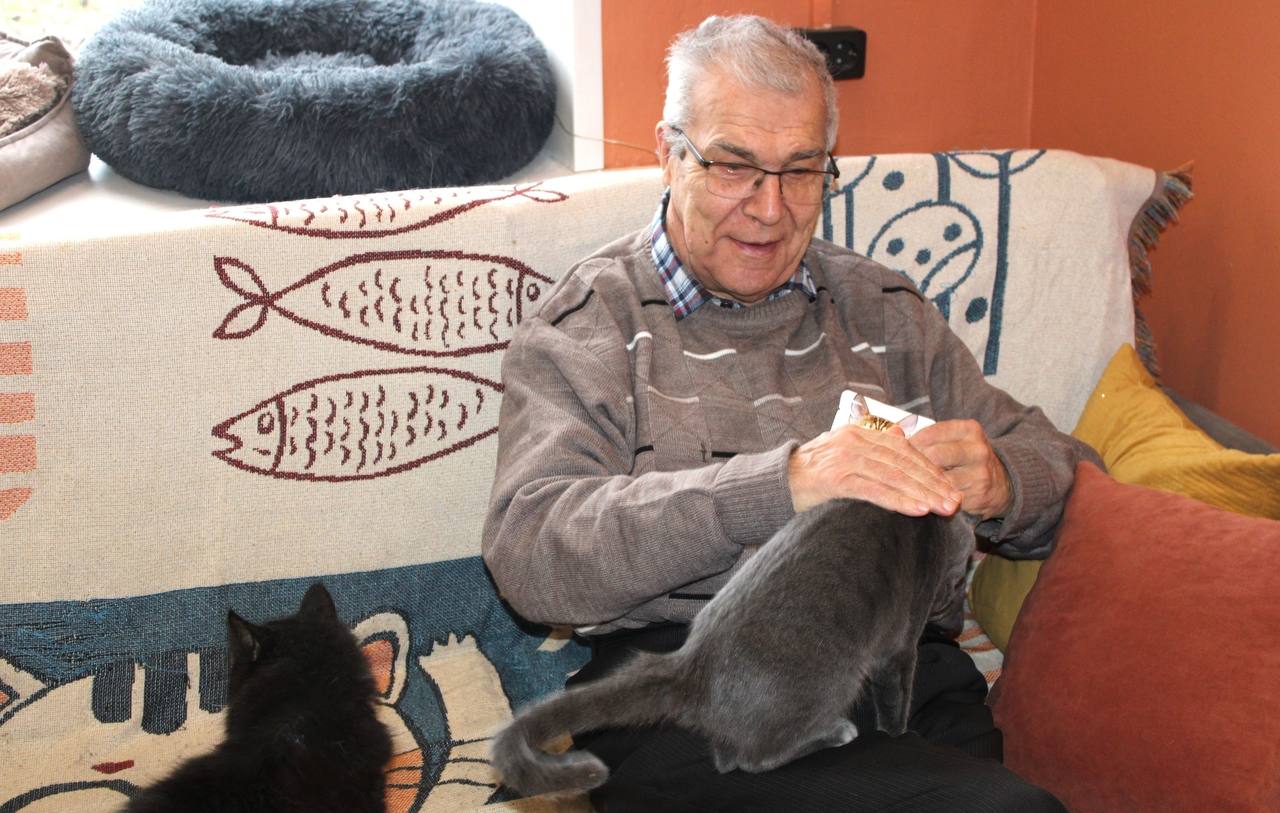 Золотые сердца наших серебряных волонтёров Золотые сердца наших серебряных волонтёров