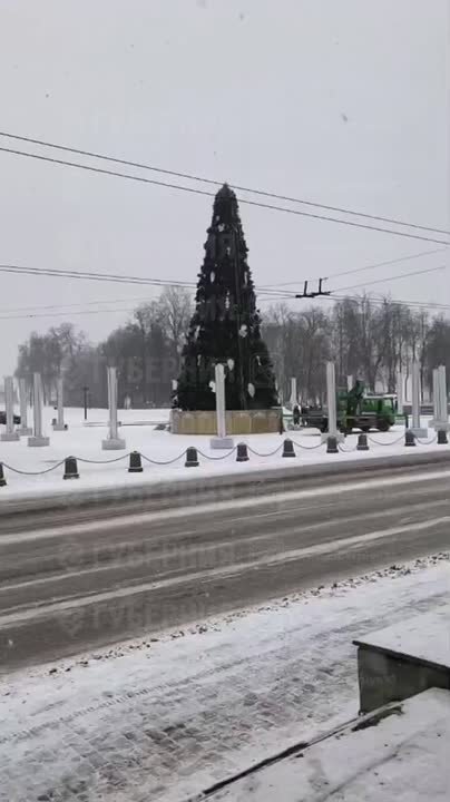 Завершается монтаж главной ели Владимира