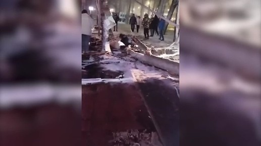 Сотрудникам коммунальной службы в Гусь-Хрустальном грозит штраф за халатность из-за падения дерева на двух прохожих