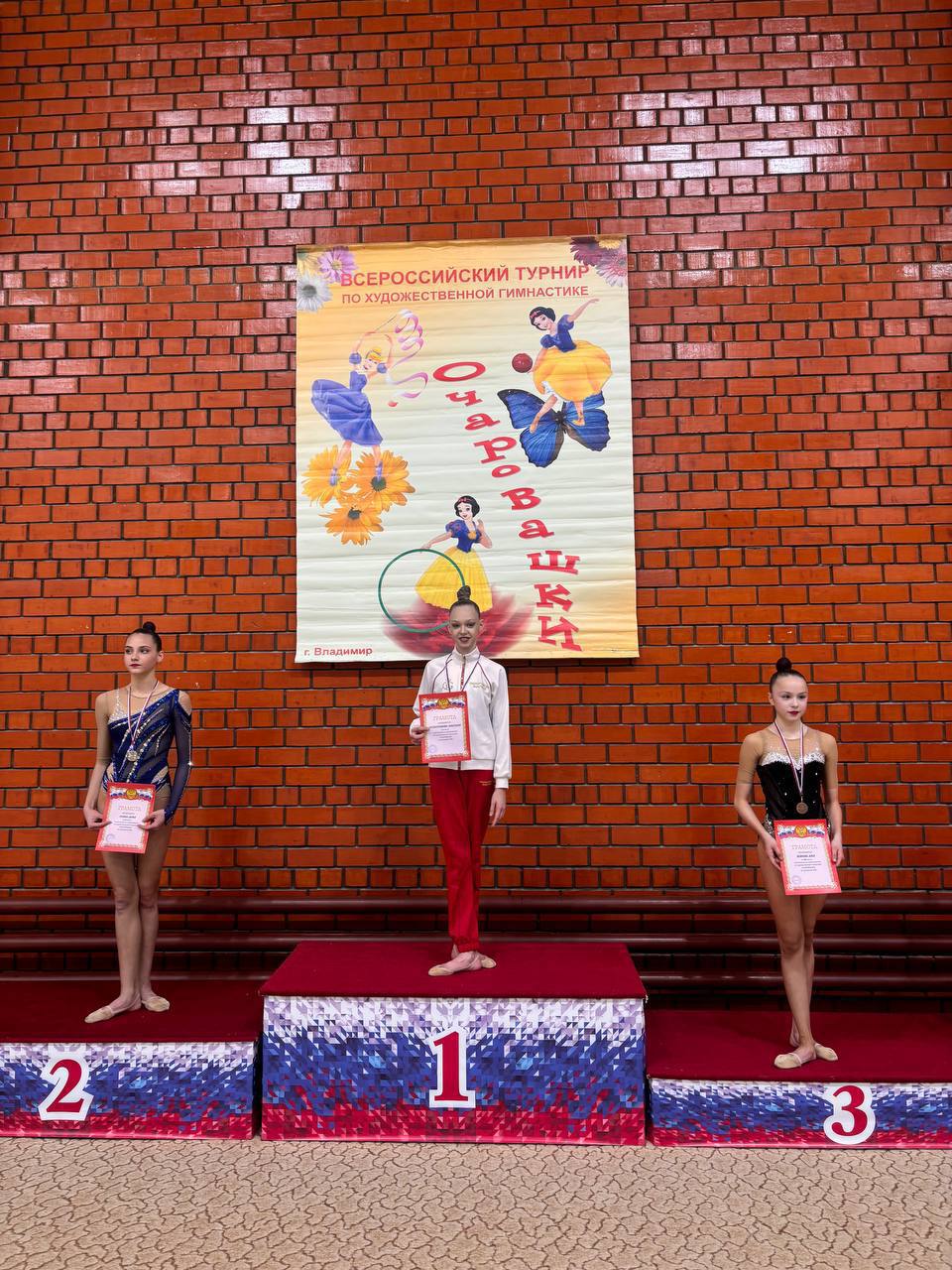Юные гимнастки Владимира покоряют пьедесталы! Юные гимнастки Владимира покоряют пьедесталы!