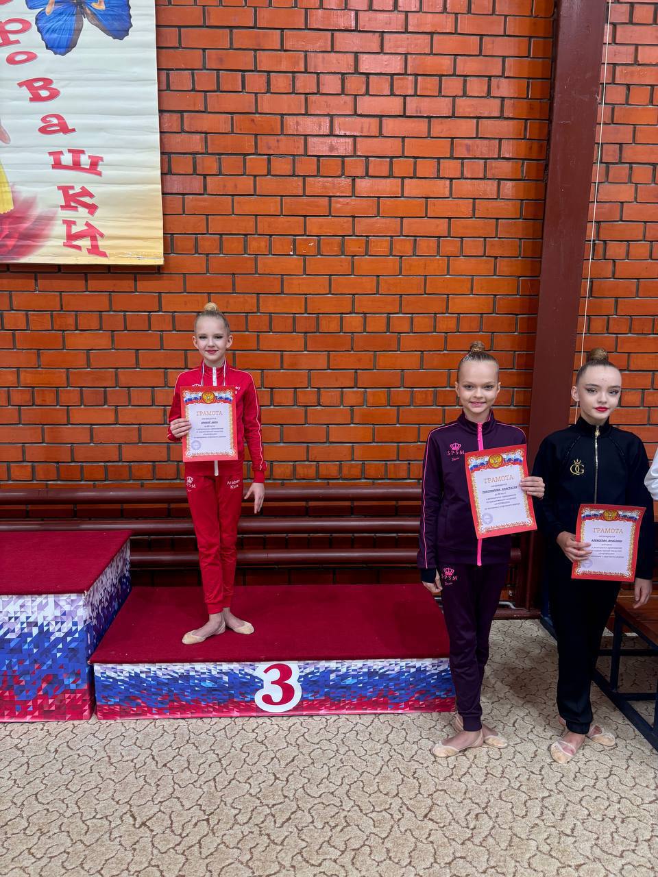 Юные гимнастки Владимира покоряют пьедесталы! Юные гимнастки Владимира покоряют пьедесталы!