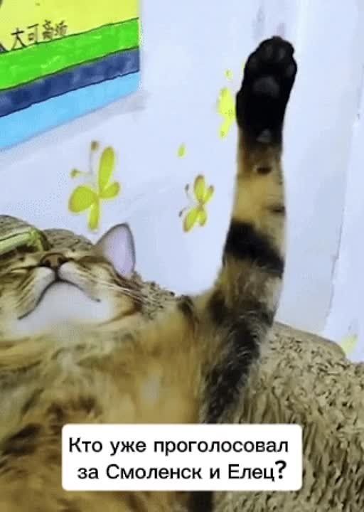 ���� ������-��������� ��� ������ ���� �����