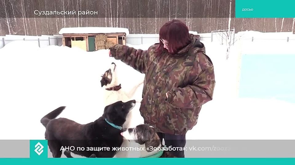 ��������� ��� �������� �������� ���������� ����� ��������� ����� �������� ��������