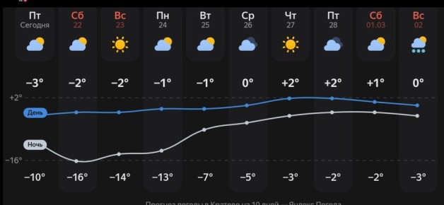 Резкое тепло после морозов: как защитить клубнику и травянистые растения