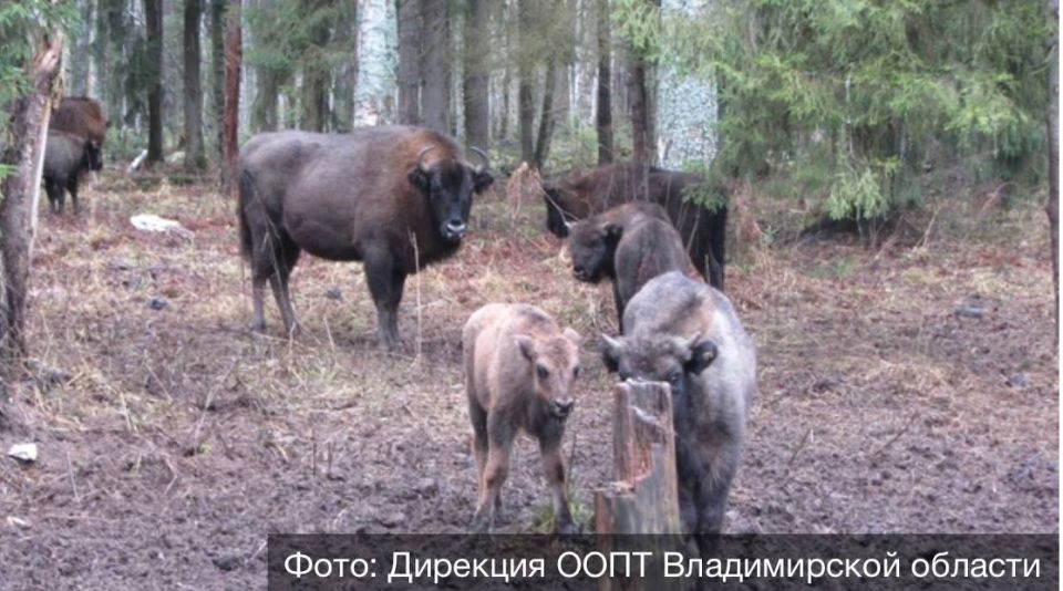 ������������ ����� ������� � ��������� � ����������� ����� �������� ���