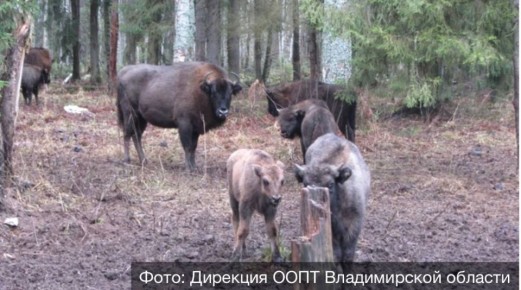 ������������ ����� ������� � ��������� � ����������� ����� �������� ���