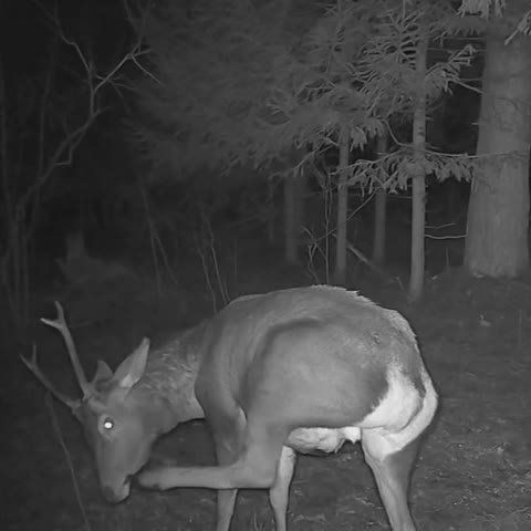 ����������� ����� ����� � �������� ����������� � ���������� ������