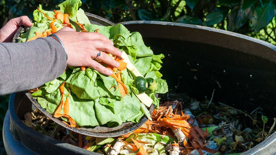 ��� ������� �� ��������� ������� ���� ����� ���������� ������� �� ����