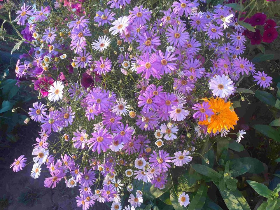 ���������� ���������: ��� ����� ��������� ����� ����� � ��� ���