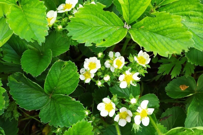 �������� ������� ��� ��������� �������� ��������: ��� �������� �������� ������