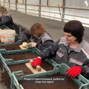 �� ����� ����, � � �������� � ��� �����!