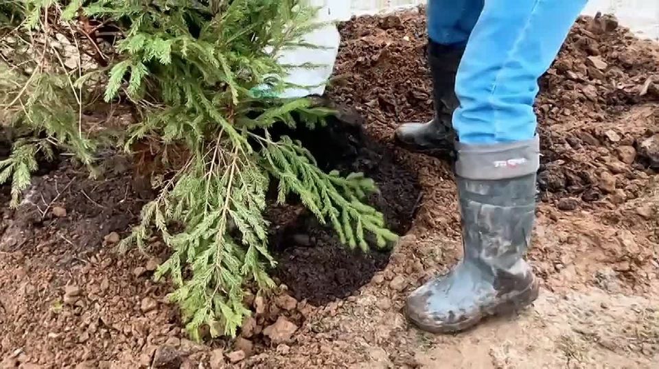 � ������ �� ����� ����������� �������� ���