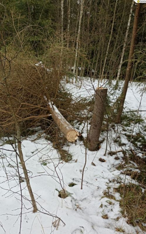 ��������. �� ������ �� ���������� ������������ �������� ���������� ��������� ���� � ���������� ����� ������ ���������� ��������� ��������� ������������ ��������� � ������������ ��� �� ������������� ����������� ���������...