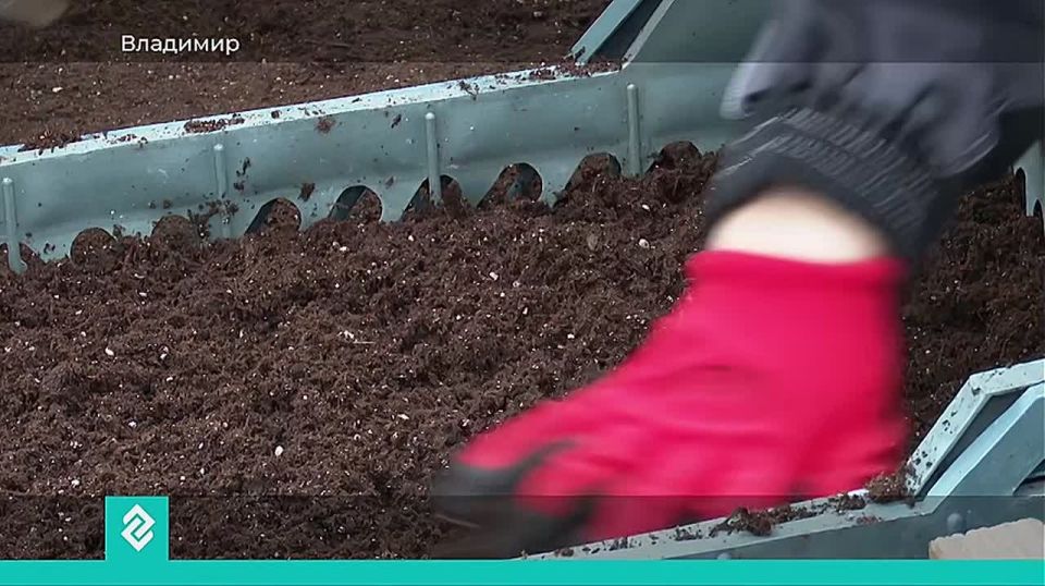 ������������ ��������� ������� ������ ���������� ��� ��������� �������