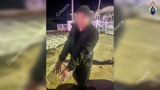 В Гусь-Хрустальном местный житель признан виновным в приобретении наркотика и покушении на дачу взятки сотруднику полиции за освобождение от уголовной ответственности