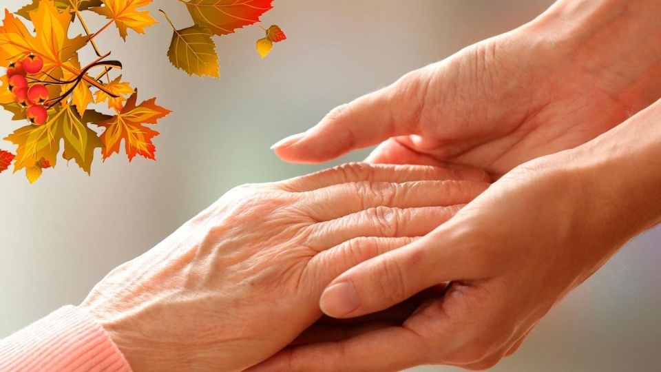 ������� ��������������� ����� �� �������� � ����������: �����