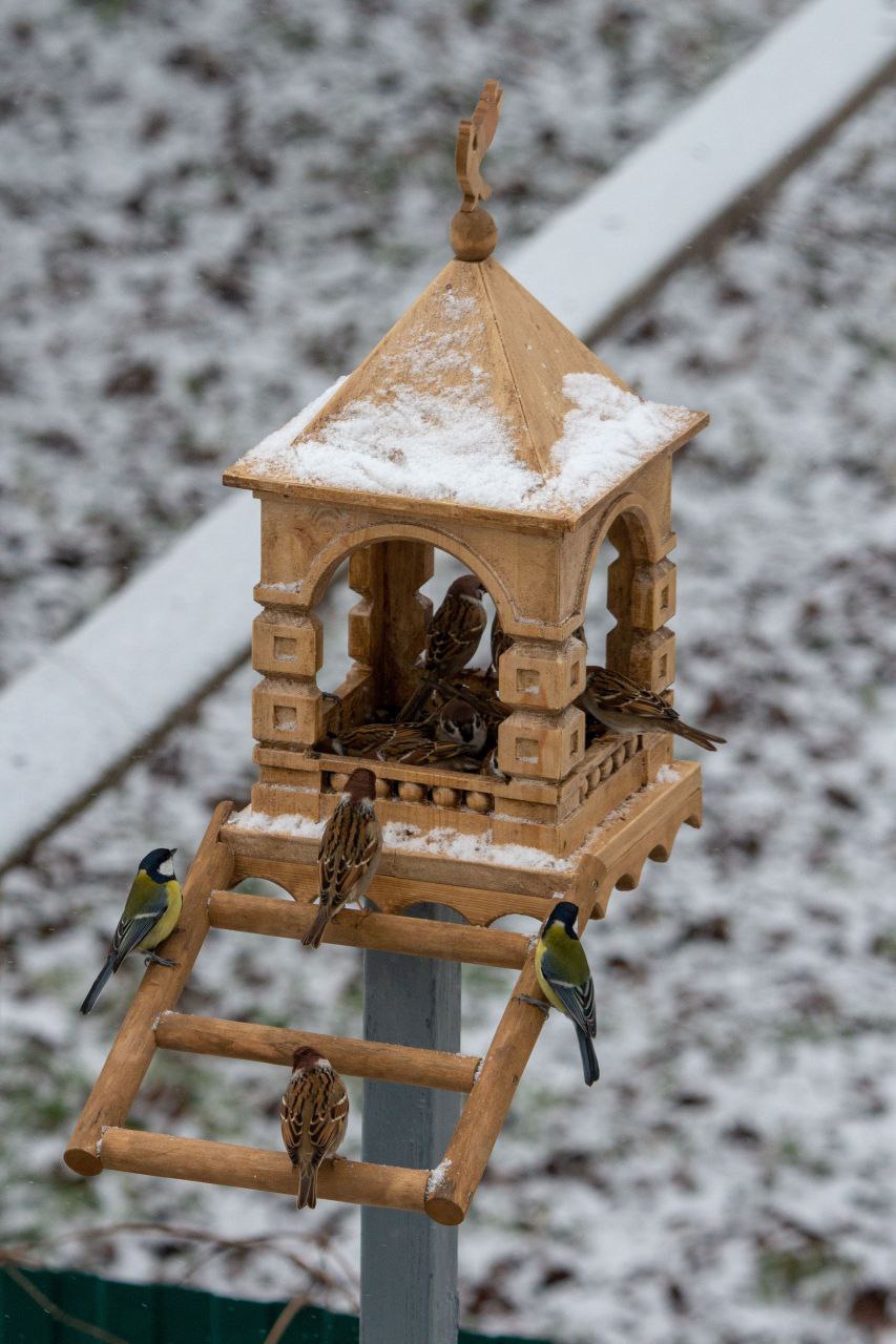 В Суздале даже у птичек - свой замок! В Суздале даже у птичек - свой замок!