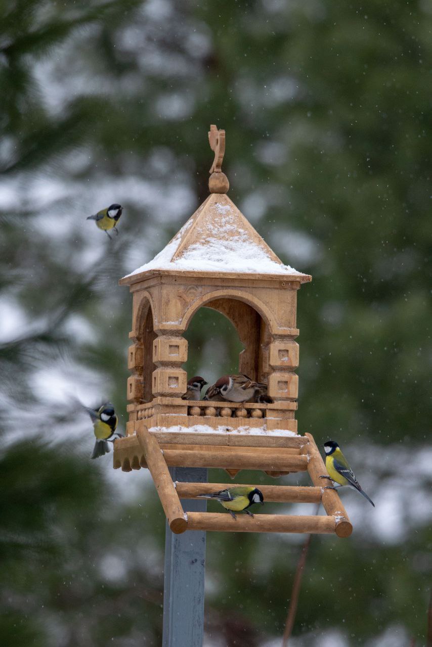 В Суздале даже у птичек - свой замок! В Суздале даже у птичек - свой замок!