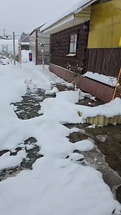 ��������� ���� ������� ������� ����� � �������� �������� ���������������� �������