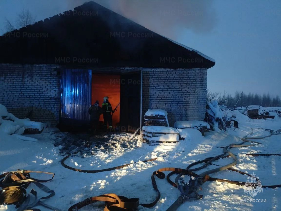 Из горящей квартиры пятиэтажки сотрудники МЧС спасли четырех человек