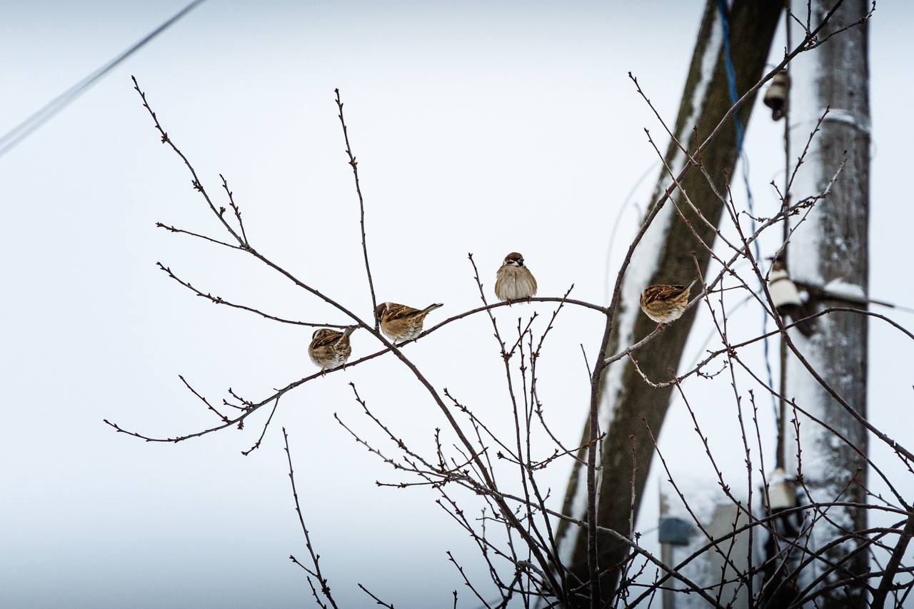 Впереди еще целая неделя выходных Впереди еще целая неделя выходных