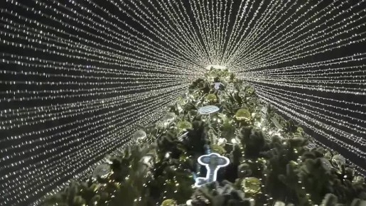 Сегодня отличная погода для прогулок по вечернему Владимиру