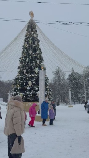 � ������ ��������� ������������ �������� �������