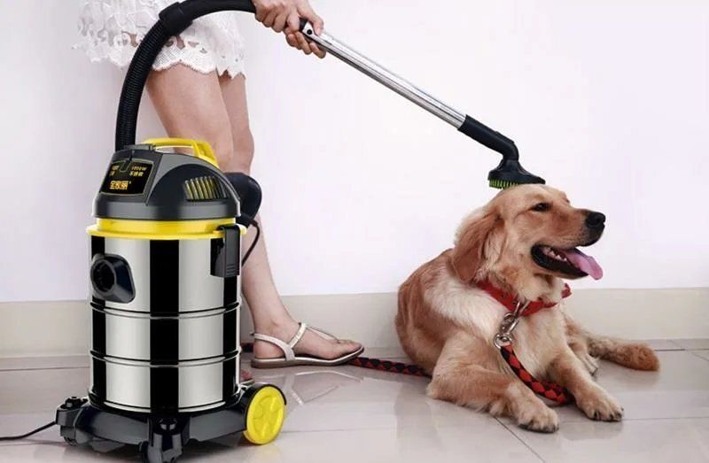 �������� ��������: ��� ����������� ���������� ������������ ��� �������