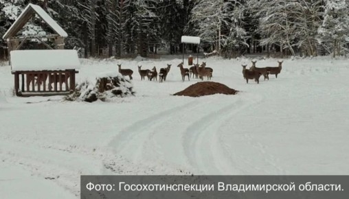 � ������������� ��� �������� ���������� ������� ��������� ������