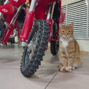 ���� ���������-������������ ����� ���������-����� ���������� ����� ������ ������������ �����������