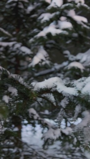 Друзья, посмотрите, какая сказочная зима!