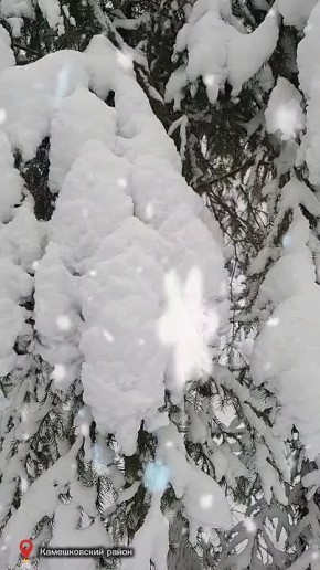 ������ ����! ���� ���� ��� �� ������ � ���� �������� �� ������ ����� ���������� ���������� �������