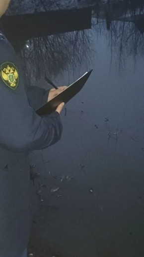 ��������. ��� ��������� �� ����������� ������������ �������� ���������� ��������� ���� �� ����� �������� ������ ���� � ����� ����������� ������ ��������� ��������� � ������������ ������� ������������ ������� ����...