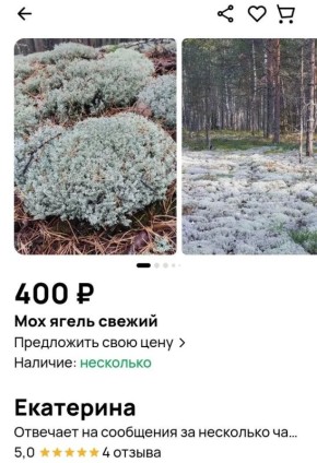 ��������. ��� ���������� �������� ������������ ��������������� ����������� ���������� ��������� ���� �� ����� ��������� ������ ����� ���������� ��������� ���������� ������������ ��������������� ������������ ���������...