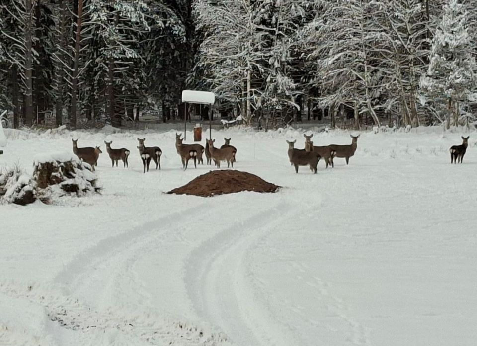 ������� � ������� ����.... �� ������, ��������� ��������������� ���������� ����������� �� ����� �������� �������� ���������� ����������� ���������, ����������� �������� ��������� �������: �������������� ������ ���������...