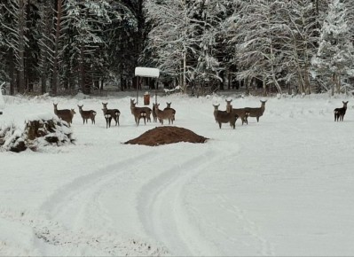 ������� � ������� ����.... �� ������, ��������� ��������������� ���������� ����������� �� ����� �������� �������� ���������� ����������� ���������, ����������� �������� ��������� �������: �������������� ������ ���������...