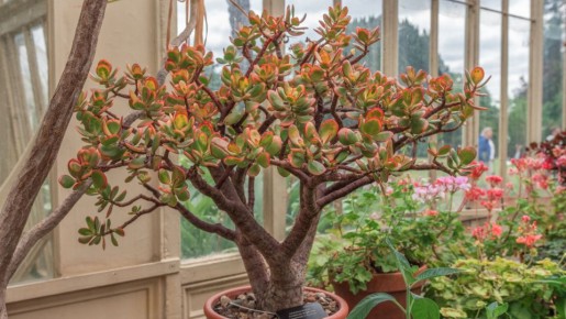 �������� ������ ����� ����� ��� �� �������: �� ������� ������� � ������� ���� ���������