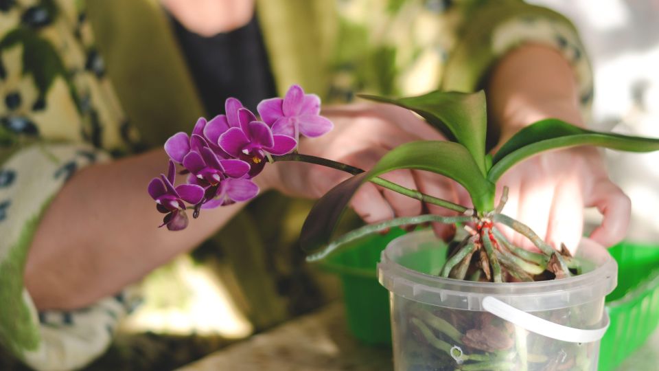 �������� ������� ����� ��������� �� ���������� ���������: ��������� ���� �������