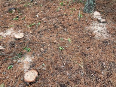 ��������. �� ������� �������� �� ���������� ������������ �������� ���������� ��������� ���� � ���������� ����� ���� ������������ �������������� ������ ��������� �������� ������� ����������������